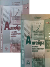 Математика: алгебра и начала математического анализа, геометрия. Алгебра и начала математического анализа 10-11 классы